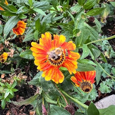 TomCrowley777's profile picture. 