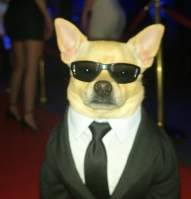 saku100x's profile picture. dev
coder
gamer
shitcoin trader
https://t.co/0SuANgde8j