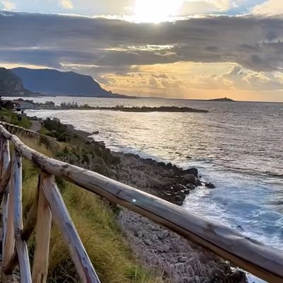 Giusy05033470's profile picture. 