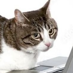 Marek_UwU_'s profile picture. główne @Anarchy_Kitty