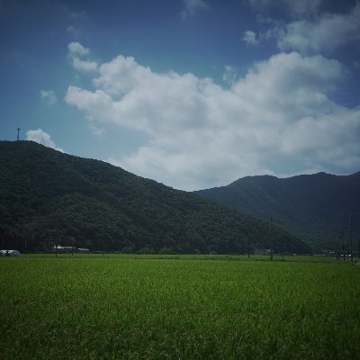 kamtius's profile picture. 