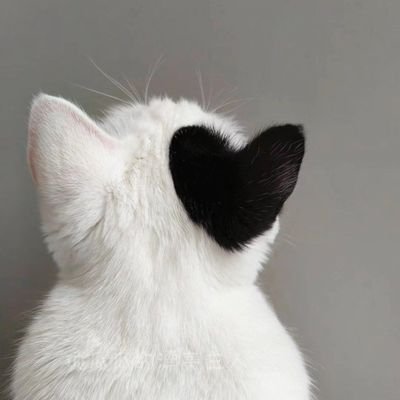 drop_jacks22973's profile picture.