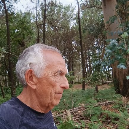 rbeccarini's profile picture. Economista (UBA)