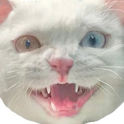 ajaiib's profile picture.