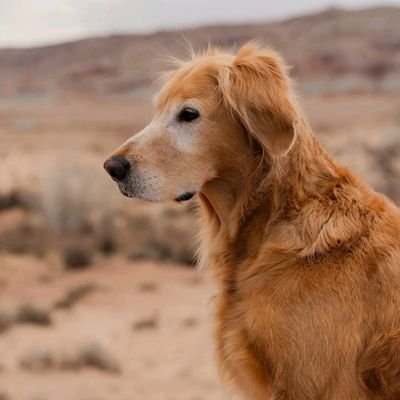 Bobdey447029's profile picture. God first always 🕊✝️

New converted ✝️🙌🕊