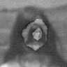 annaxmalina's profile picture. 🌻🇺🇦
miscellaneous;
pathetic pigeon