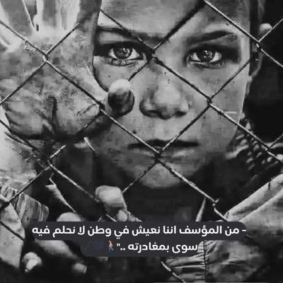 SamiYasser59177's profile picture. 