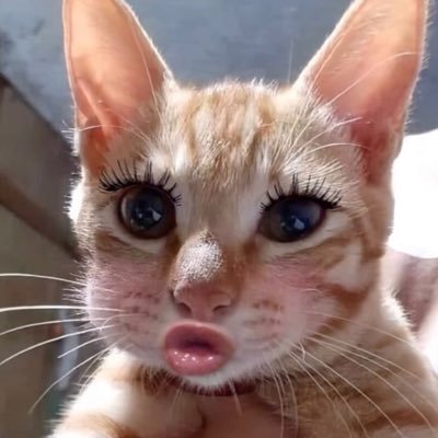 minh_quang16102's profile picture. 