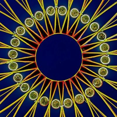 RByoganandhared's profile picture.