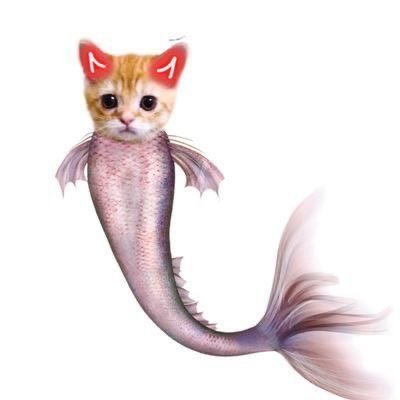 HoneyBae49's profile picture. Don’t Follow me , Follow your dreams