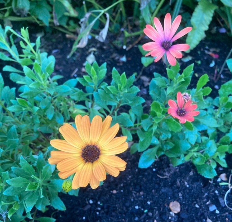 NicolasKea8mre's profile picture. 