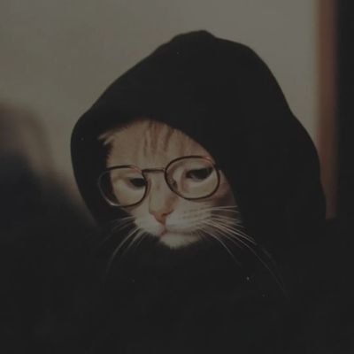 Mahnoorkhan863's profile picture. 