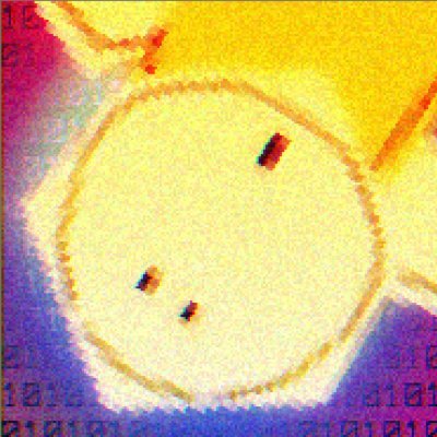 who_invited_doe's profile picture. But with my head up in the clouds I can see so much ground
And from up here, you look like ants in a row