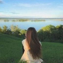 Dauwaw5558244's profile picture. 