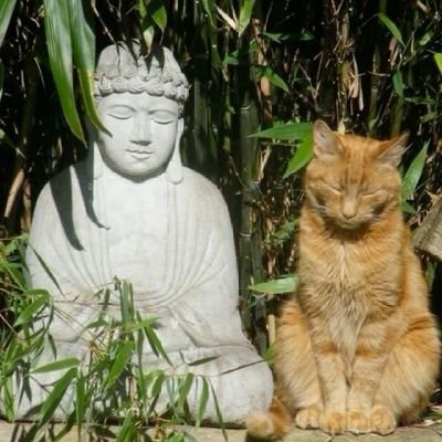 dyalax1's profile picture. لأنه ماذا ينتفع الإنسان لو ربح العالم كله وخسر نفسه