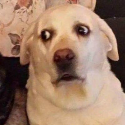 nongmakja's profile picture. 
