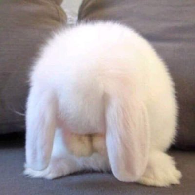 cuttttukk's profile picture. 혜워니워니어니