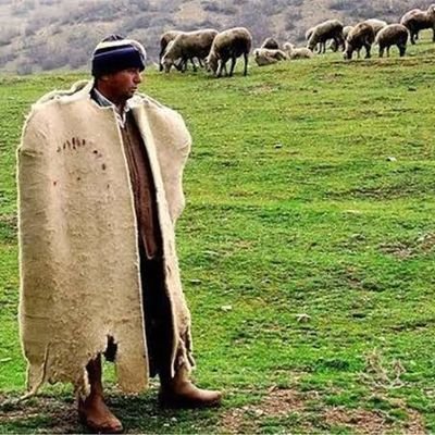 Danacobanii's profile picture. küçükbaş büyükbaş çobanlık yapılır.