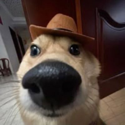 b00kkun's profile picture. 그 책 재밌어요?