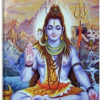 patronraul81's profile picture. cariñoso complaciente