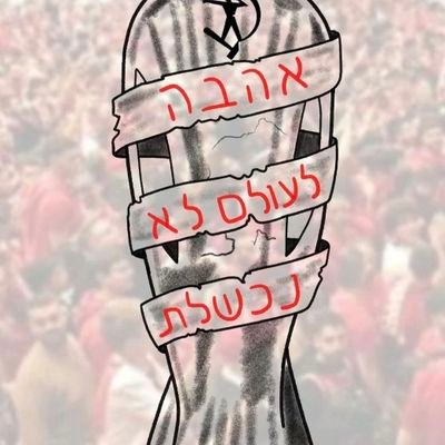 shukishuki2004's profile picture. 