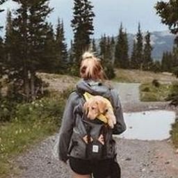 Ufirre44286's profile picture. 