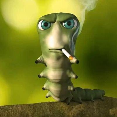 pyrolizis's profile picture. 🇧🇾