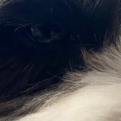 GAMA_kurarowa's profile picture. ゲームとマンガが大好きです。