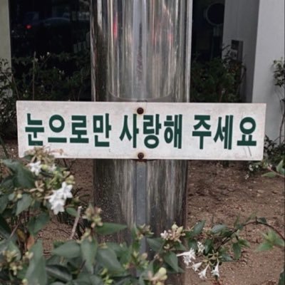 dkssud_0918's profile picture. 정말 좋아합니다. 이번엔 거짓이 아니라구요.