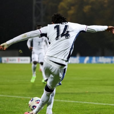 spsp_skr_shinbo's profile picture. Tottenham Hotspur❤️England❤️Vegalta ステッリーニ新規