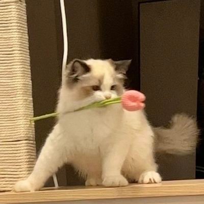 filmnchy's profile picture. btn | อยากรวมคำว่าน่ารักมายกให้มุคนเดียว | 🖤💗4 ก้อนของพี่ค้าบ | 💎TREASURE🫶🏻 | 😈BABYMONS7ER❤️