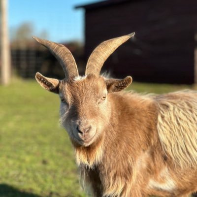 911_sorcery's profile picture. 911 TIP$ & THREAD 🧵 🪡