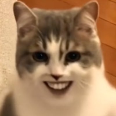 ikanyamn's profile picture. 