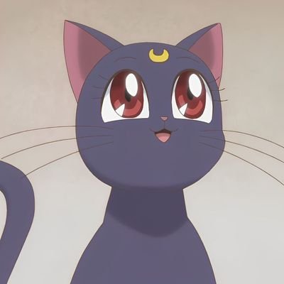 oks01net's profile picture. Люблю котеек, ретвичу разное, иногда высказываю своё не популярное мнение.
Не терплю хамства и оскорблений. Всем добра✨