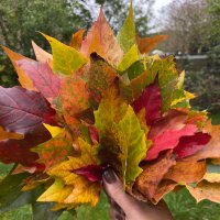 Noshi.A (@noshia100) 's Twitter Profile Photo