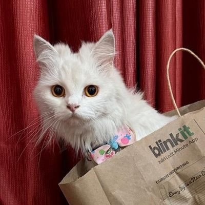 Phoebeondrugs1's profile picture. 'what now ?'