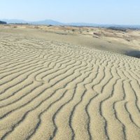 鳥取の田中🍐🦀 (@nujokt) 's Twitter Profile Photo