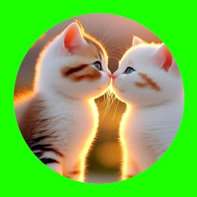 RajTimilsi11284's profile picture. Believe in something