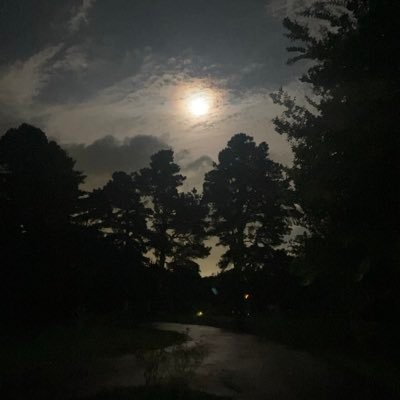 resistancegal76's profile picture. 