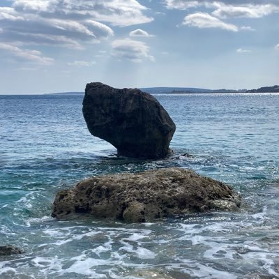 stfowinti's profile picture. 