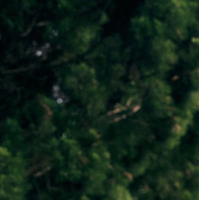 tpst_shine's profile picture. FAN ACCOUNT | she/her 99 ೃ⁀➷ Ot7 @TPST_twt | #혁  Lover | HANBIN 🍯|  WOODZ  MOODZ | UNIQ | X1