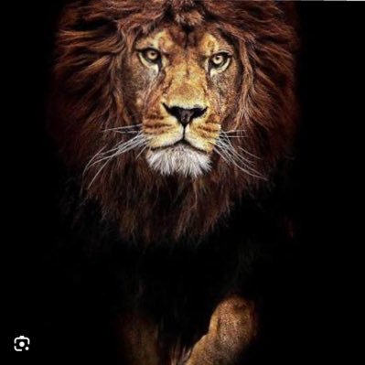 Ab_ahsanbilal's profile picture. 