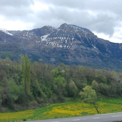 aliseda59's profile picture. Sé tú mismo, los demás puestos están ocupados.

 Oscar Wilde