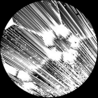 mashh_mrr's profile picture. chopped