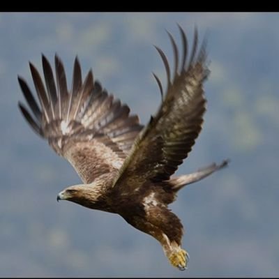 yembi51's profile picture. Move at your own pace, freedom is the most precious thing that can exist 🚶🏾‍♂️