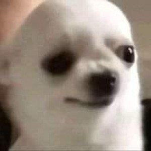ThnTrn60052145's profile picture. 