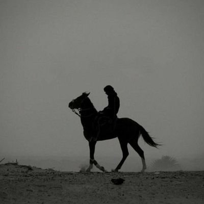 raimboyev571's profile picture. Do not die before you dead