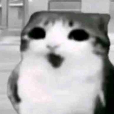 Salunaan's profile picture. 💙🩷If art is used please credit - have a lovely day!🩷💙

Account is intended to be 15+, tread with caution