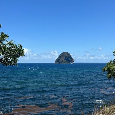 Chabingrec's profile picture. fan inconditionnel du plus grand club français.
l'Olympique de Marseille 👊💪💯🏆⚽