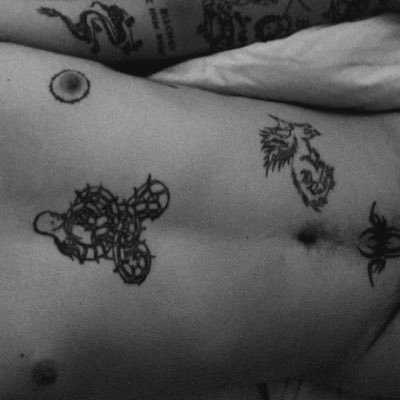 nubesuevecit3's profile picture. pasenxual/ 28/ capricornio /vers/ chile